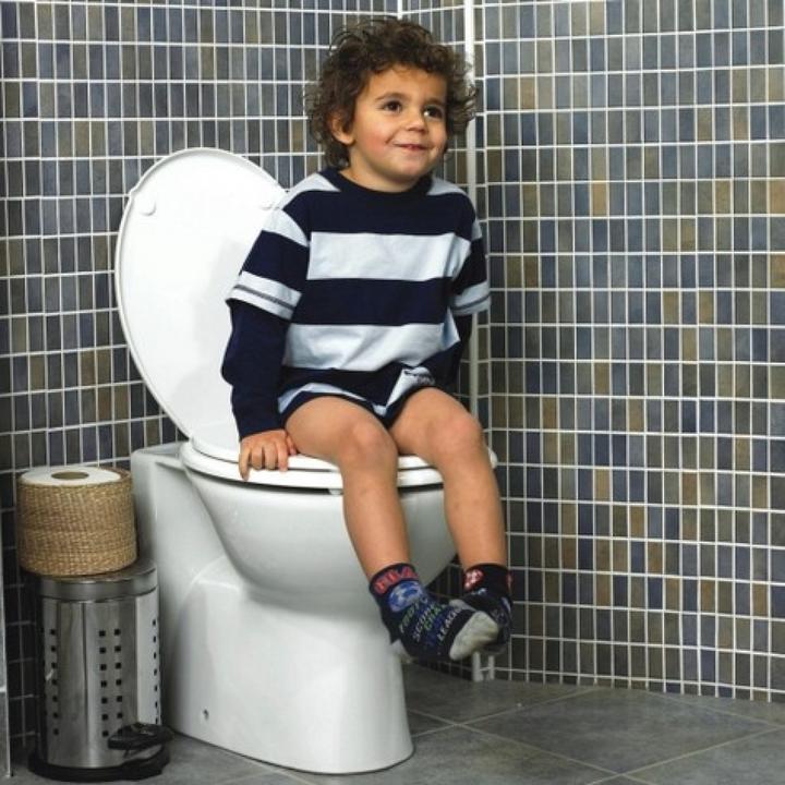 Actual product image Family Seat toilet seat