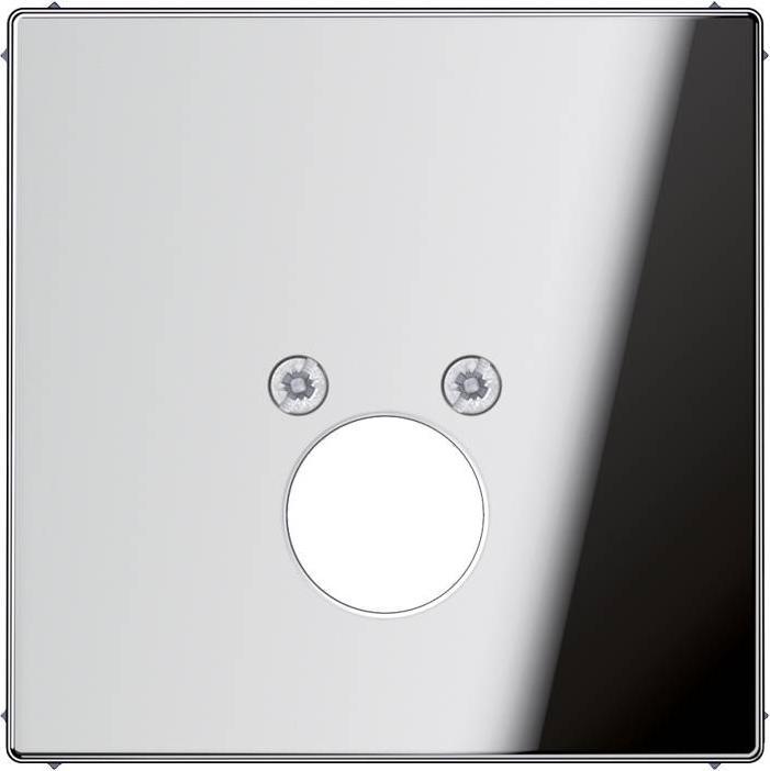 Actual product image JUNG GCR29621