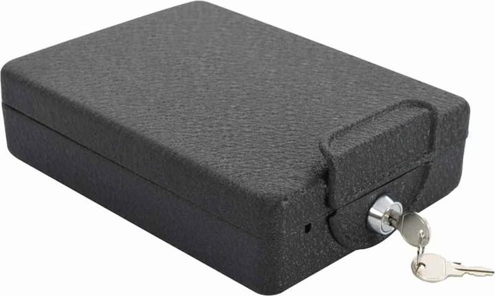 Immagine prodotto vidaXL Auto Safe