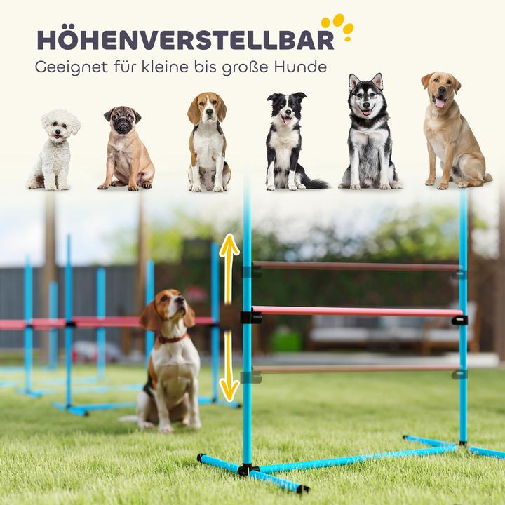 Produktbild PawHut Agility Set Hunde Kunststoff Hellblau (Agility)