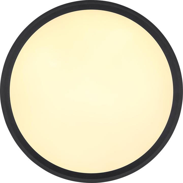 Actual product image Globo Belissa