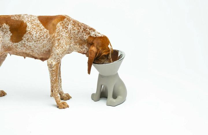 Image du produit United Pets Elisabeth (110 cl)