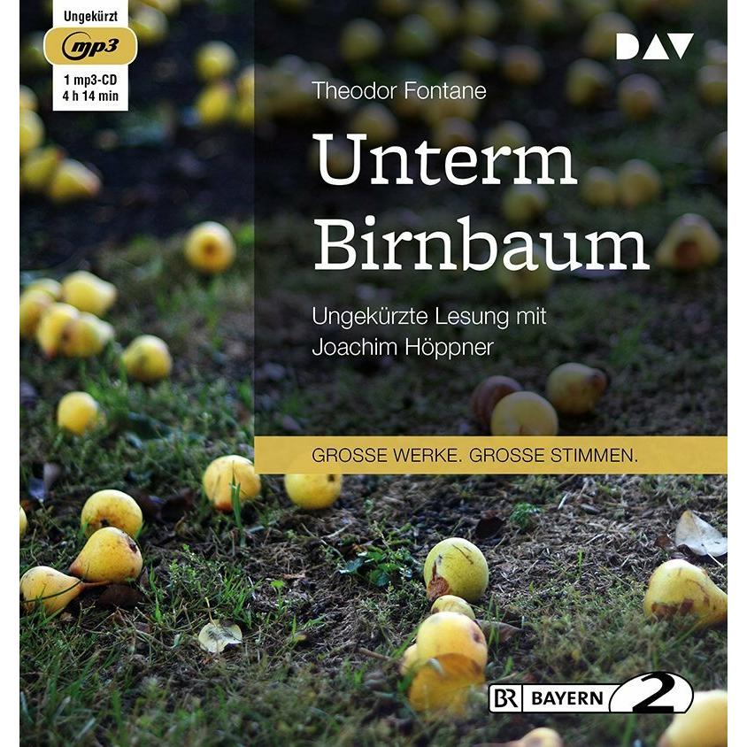 Unterm Birnbaum, Hörbücher von Theodor Fontane
