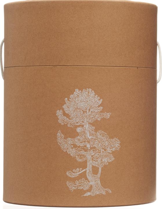 Produktbild Nature's Design Pinus Cembra