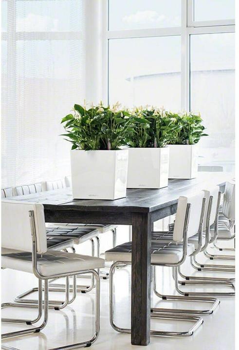 Produktbild Lechuza Cube (29.50 x 29.50 x 30 cm)