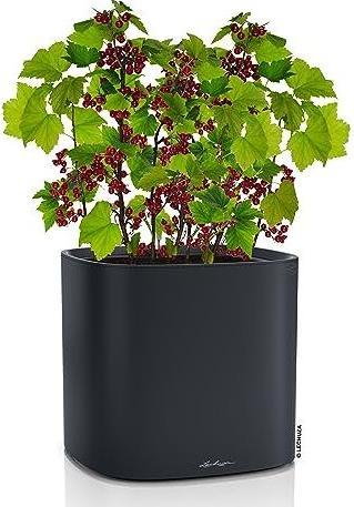 Produktbild Lechuza Pila Color Planter (35 x 35 x 32.60 cm)