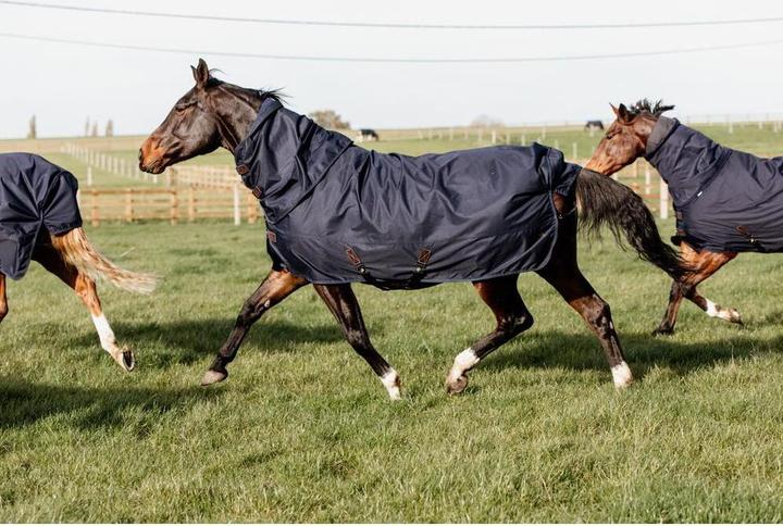 Produktbild Kentucky Horsewear Weidedecke Turnout Rug All Weather Quick Dry Fleece mit Halsteil 0g (160 cm)