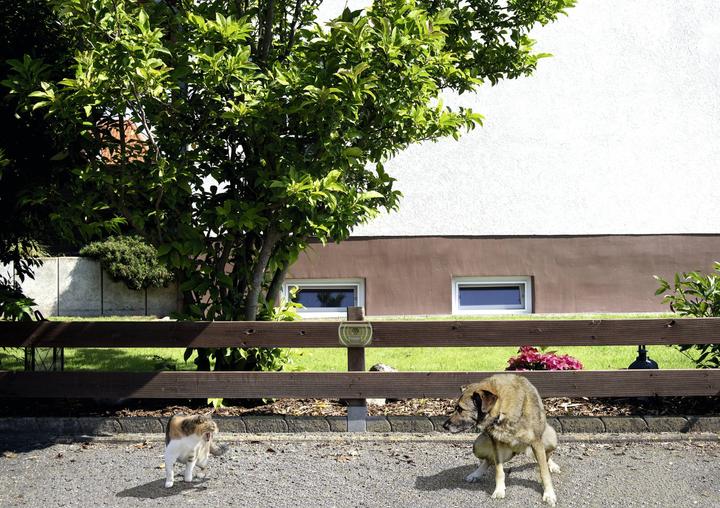 Produktbild Gardigo Hunde und Katzenabwehr