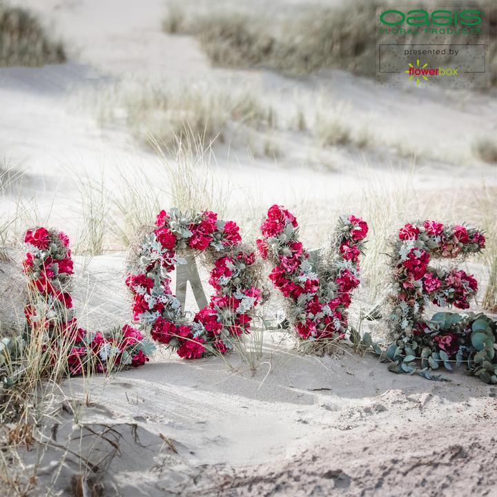 Actual product image Oasis BIOLINE Letter A