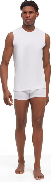Image du produit Falke 2-Pack Herren (XL)