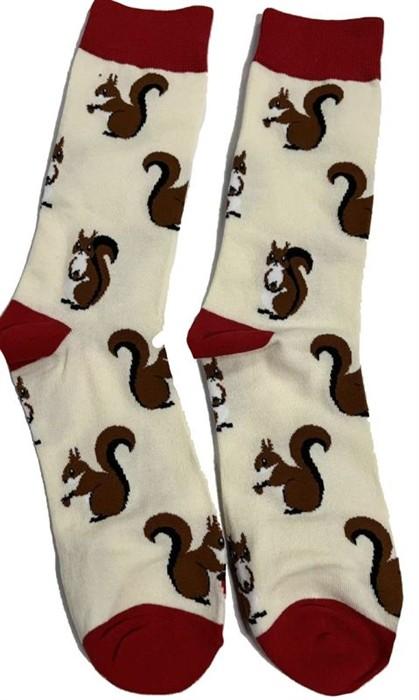 Produktbild Musthaves Socken Grösse 38 - 45 Eichhörnchen (Einzelpack, 38 - 45)