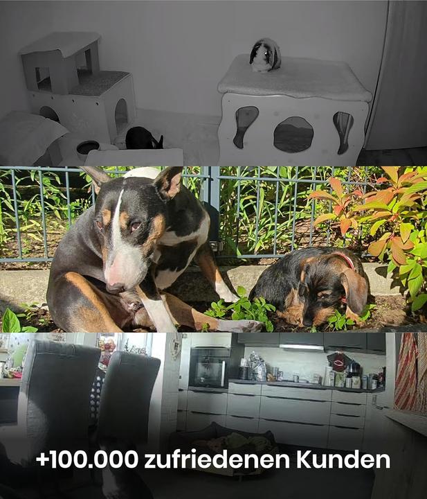 Produktbild PetTec Outdoor Haustierkamera mit 2-Wege-Audio