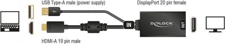 Image du produit Delock HDMI zu (DP, 24.50 cm)