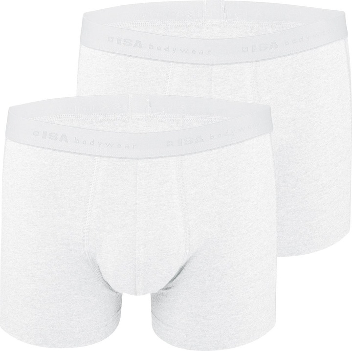 Actual product image ISA Bodywear Panty (L, pack of 2)