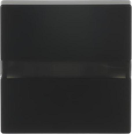 RAL 9005
