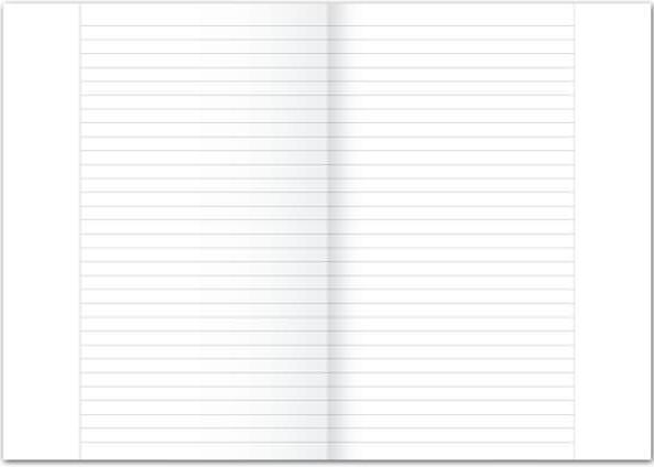 Image du produit Staufen Papier pour chancellerie 80 g/qm A3 ligné avec marge blanc 250 feuilles (A3, 80 g/m²)