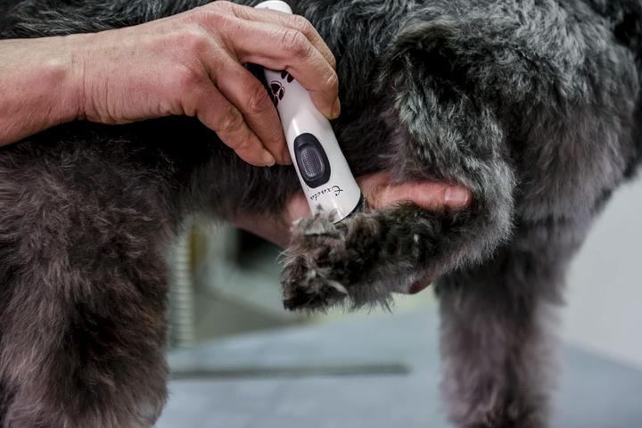 Image du produit Aesculap Tondeuse pour animaux (Chien)