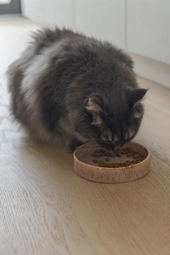 Image du produit Designed by Lotte Jace (0.35 l)