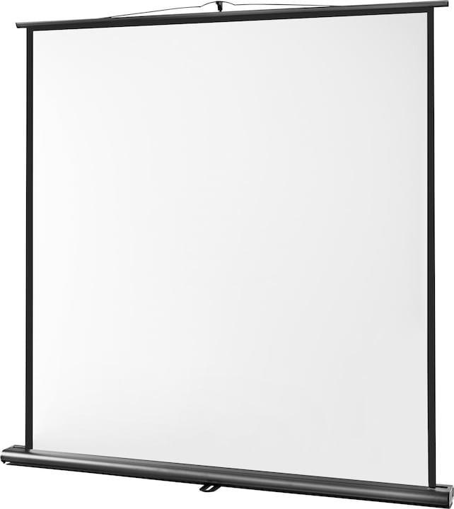 Actual product image Celexon Ultramobile Professional (109", 1:1)