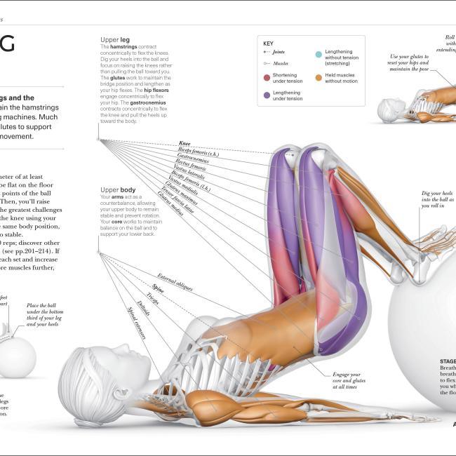 Produktbild Science of Strength Training (Englisch, Austin Current, 2021)