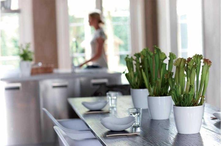 Actual product image Elho Brussels Diamond (14 x 13 cm)