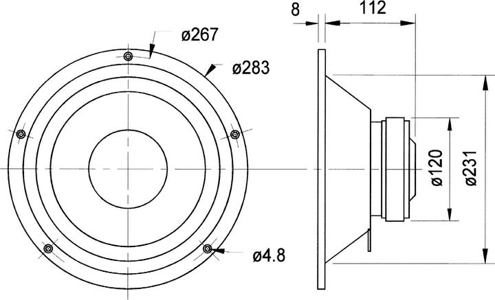 Immagine prodotto Visaton W250S
