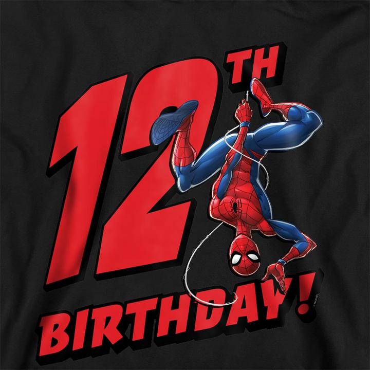 Produktbild Spiderman Kapuzenpullover Zum Überziehen 12er Geburstag (128)