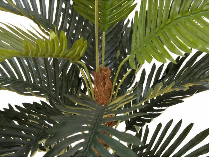 Actual product image Europalms Coconut palm (90 cm)