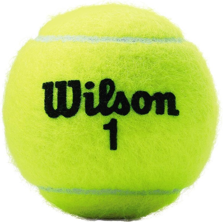 Immagine prodotto Wilson Palline da tennis CHAMPIONSHIP 3 pezzi WRT100101