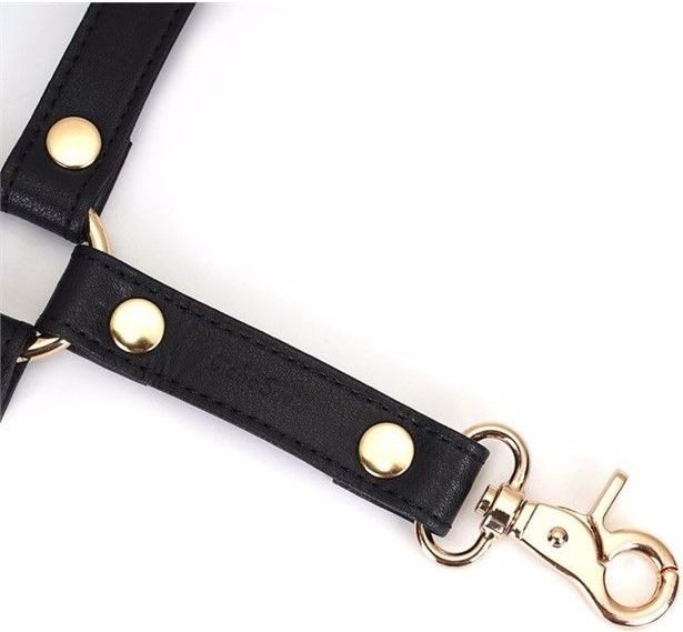 Produktbild Liebe Seele 4er Lederfessel Hogtie mit Clips