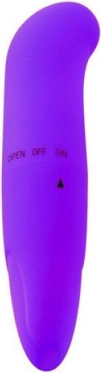 Toyz4lovers Vibrateur-VIBRATORE PUNTO G CLASSICS PURPLE