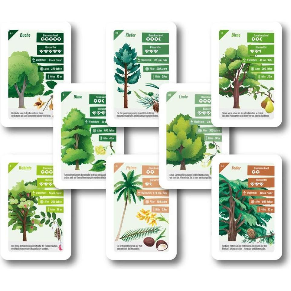 Thumbnail - Katapult Baum-Quartett (Deutsch)