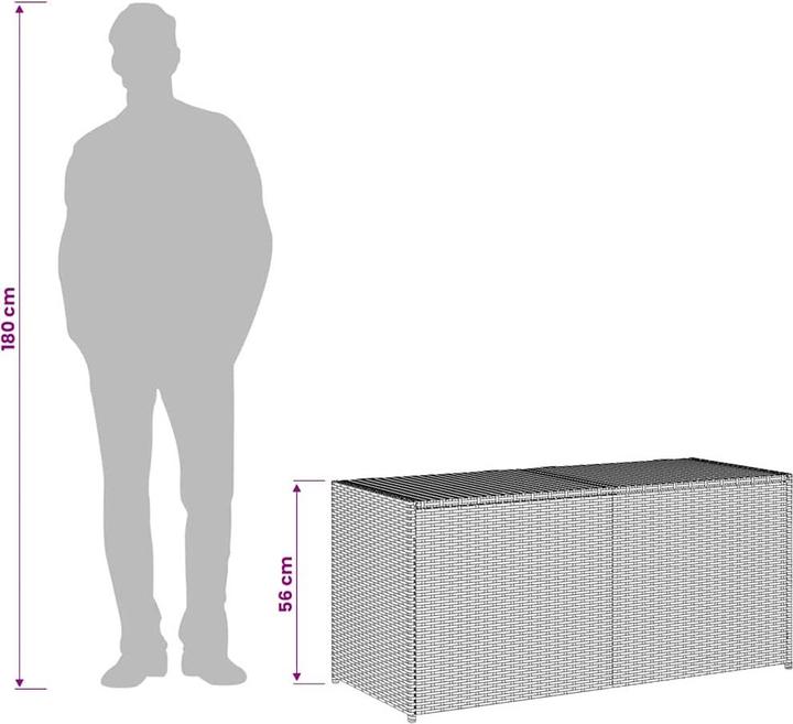 Image du produit vidaXL Gartentruhe