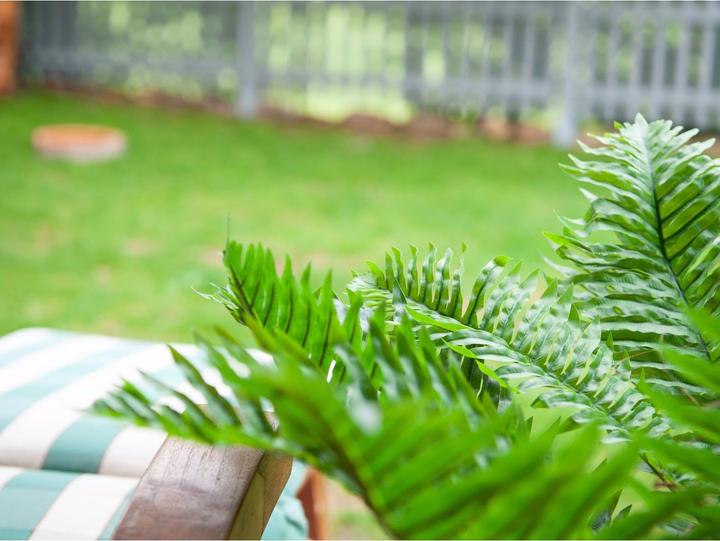 Produktbild Europalms Cycas Palme (70 cm)