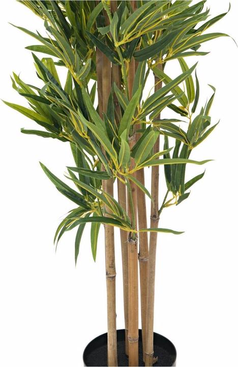 Produktbild Europalms Bambus Deluxe (180 cm)