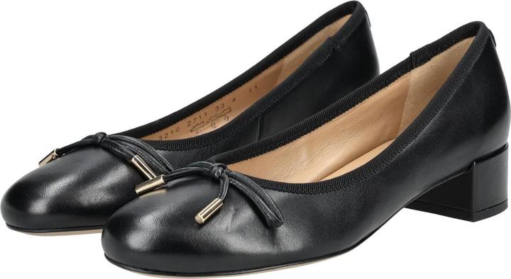 Image du produit Högl Pumps (37)