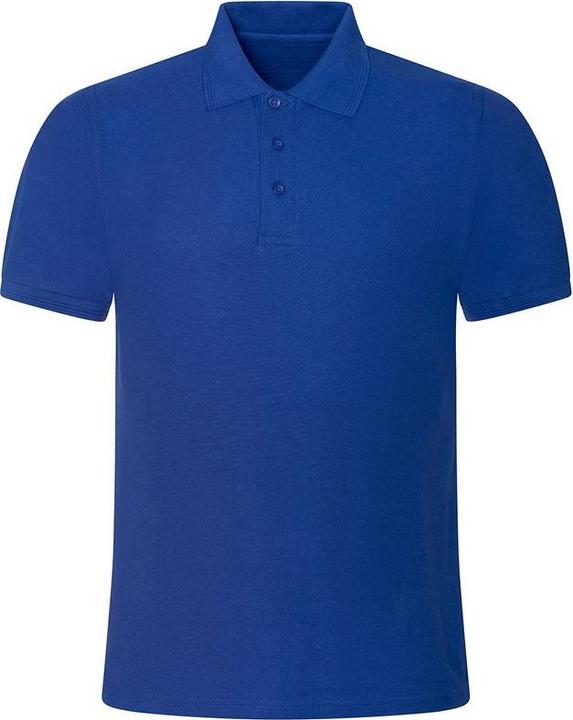 Bleu roi