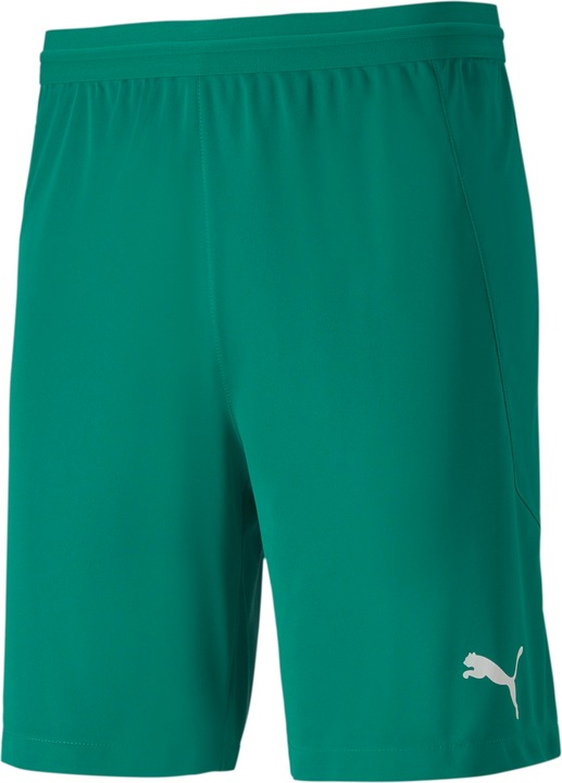 Puma teamFINAL 21 knit Shorts-704257