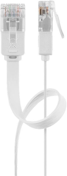 Image du produit Goobay Câble d'antenne (classe A, >85 dB), 2x blindé, 1 m, blanc (85 dB, Câble d'antenne)