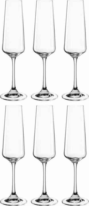 Leonardo Champagne glass Paladino 220 ml, 6 pieces (22 cl, 1 Glass, Champagne glasses)
