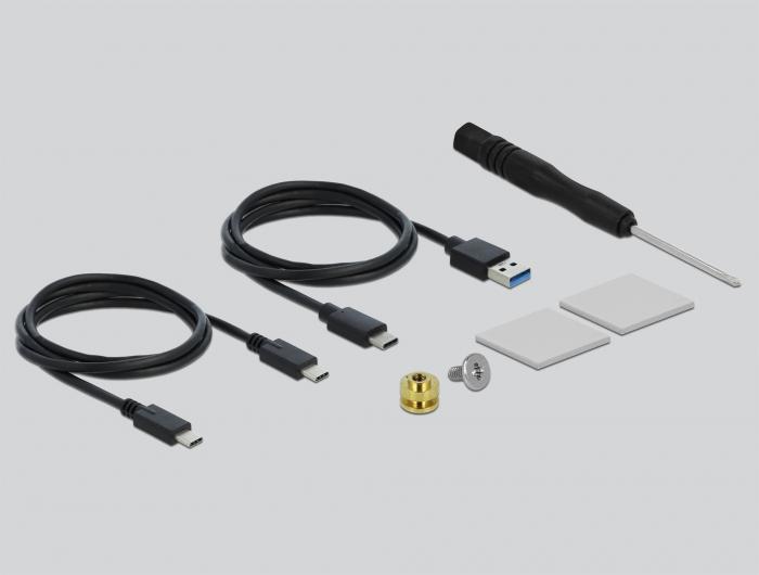 Produktbild Delock 42620 Externes Gehäuse (M.2)