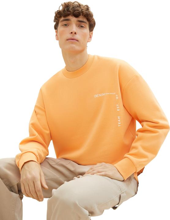 Produktbild Tom Tailor relaxed crewneck with print (L)