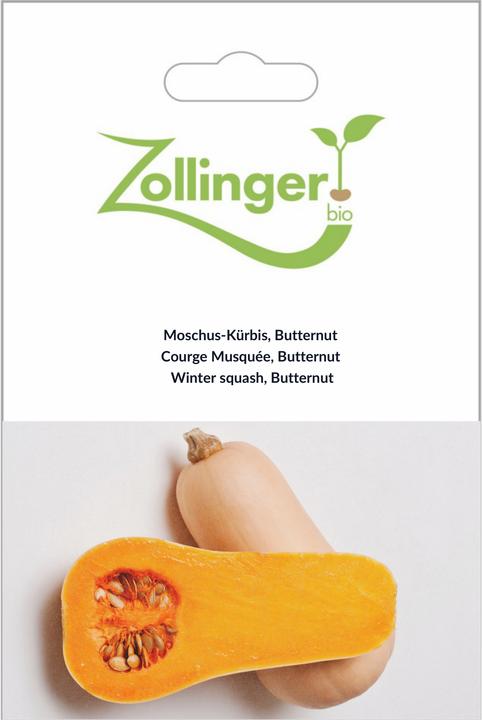 Image du produit Zollinger Bio Courge, butternut (Germes)