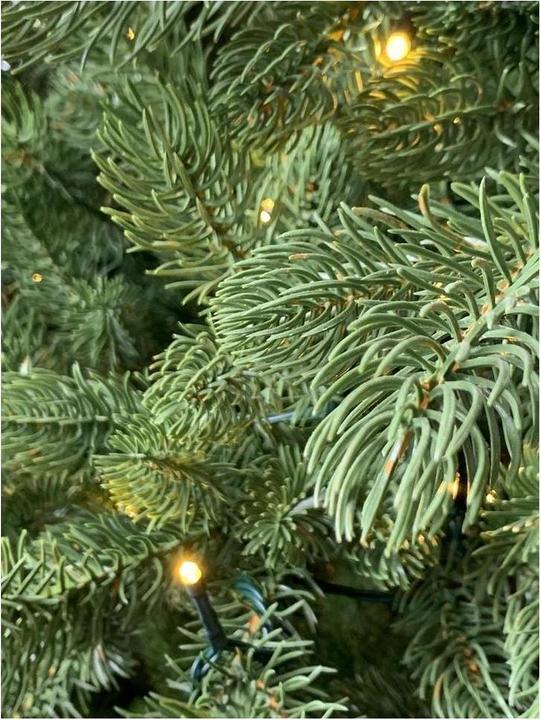 Produktbild Botanic-Haus De Luxe (150 cm)