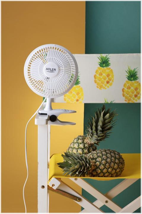 Immagine prodotto Adler AD7317 (46.44 dB)