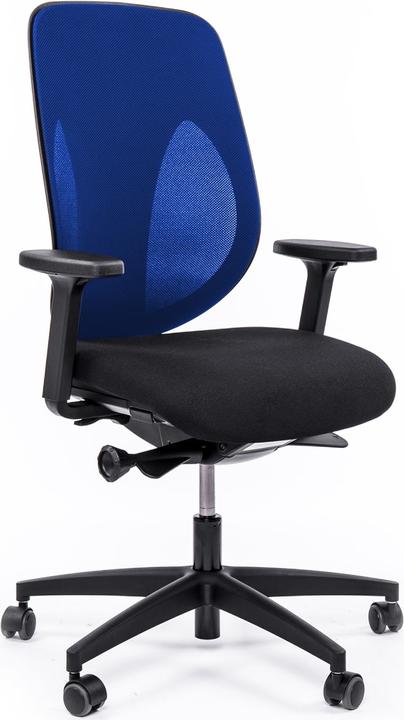 Actual product image Giroflex 353-4029