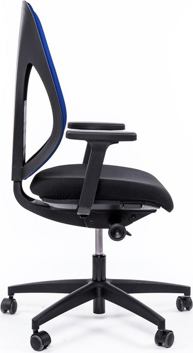 Actual product image Giroflex 353-4029