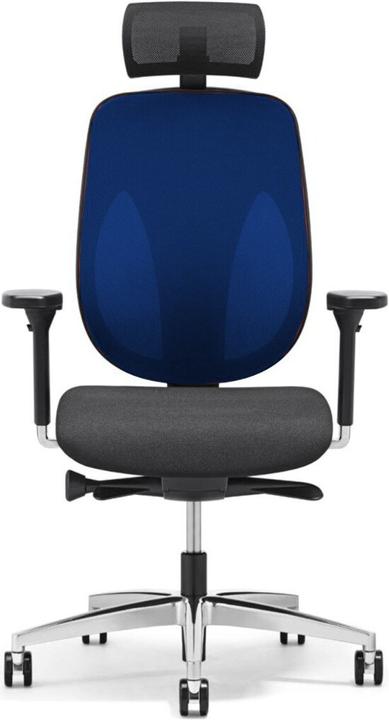 Image du produit Giroflex 353-4029