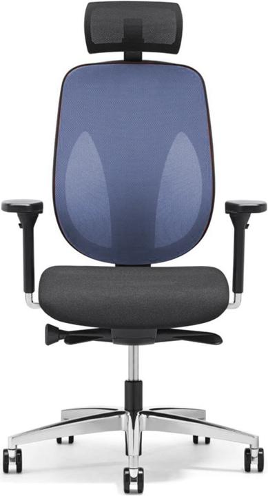 Image du produit Giroflex 353-4029