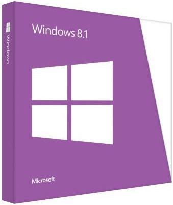 Microsoft Windows 8.1 (1 User)